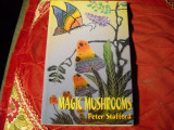 Magic Mushrooms