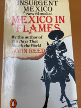 Insurgent Mexico (Mexico In Flames)