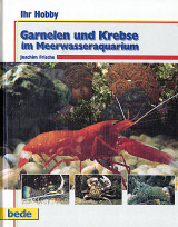 Garnelen und Krebse im Meerwasseraquarium