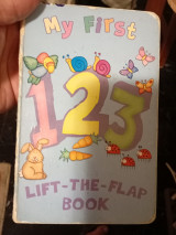 My first lift - the - flap book
