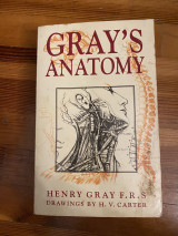 Grays: Anatomy, Descriptive and Surgical