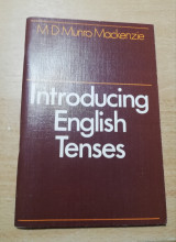 Introducing English Tenses