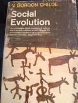 Social evolution