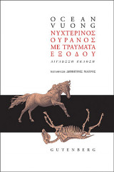 Νυχτερινός ουρανός με τραύματα εξόδου