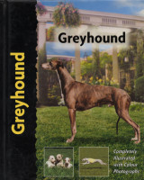 Greyhound (Γκρεϊχάουντ)
