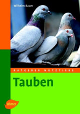 Tauben Ratgeber Nutztiere