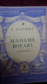 Madame bovary extraits