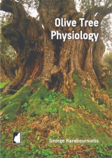 Olive tree physiology