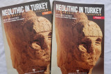 Neolithic in Turkey. The cradle of civilization