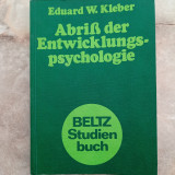 Abriss der Entwicklungspsychologie
