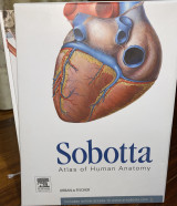 Sobotta Atlas of Human Anatomy