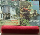 Σύγχρονες αγιορείτικες μορφές