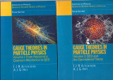 Gauge Theories in Particle Physics (Vol I+II) 3rd Edition