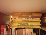Η ανθρώπινη σεξουαλικότητα