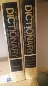 The New Grolier Webster International Dictionary of the English Language