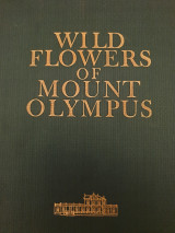Wild flowers of mount Olympus