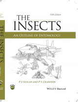 The Insects