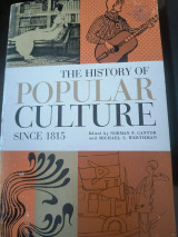 The history of popular culture since 1815