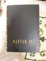 Μαντάμ boy