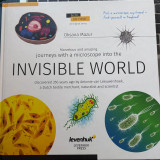 Invisible World