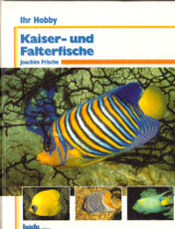 Kaiser und Falterfische