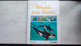 Learn about Books: Whales and Sharks