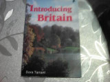 Introducing Britain