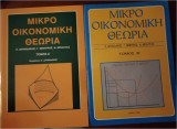Μικροοικονομική θεωρία τόμοι Α και Β