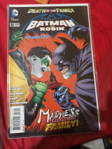 Batman and Robin 16