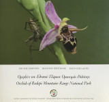 Ορχιδέες του Εθνικού Πάρκου Οροσειράς Ροδόπης