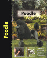 Poodle (Κανίς)