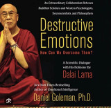 Destructive Emotions