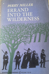Errand into the wilderness