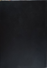 Mechanics and Electrodynamics A shorter course of theoretical physics volume I