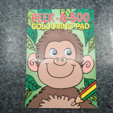 Peek - A - Boo colouring pad - Byeway Books