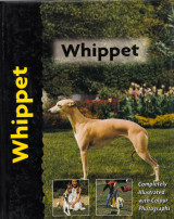 Whippet (Γουίπετ)