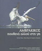 ΑΜΒΡΑΚΙΚΟΣ
