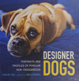 Designer dogs portraits and profiles of popular new crossbreeds