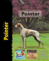 Pointer (Πόιντερ)