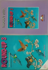 Round up 3: Grammar Workbook + Teacher's guide + Pre Tests