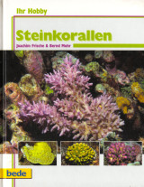 Steinkorallen