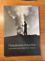 Οι Καρβουνιάρηδες της Πίνδου