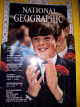 National Geographic V135, N6