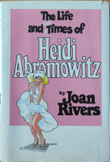 The Life And Hard Times Of Heidi Abromowitz