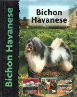 Bichon Havanese (Μπισόν Χαβανέζ)