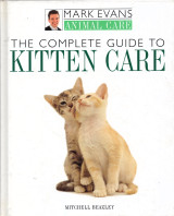 The Complete Guide to Kitten Care