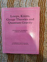Loops, Knots, Gauge Theories and Quantum Gravity