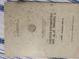 Η τυχογραφίες του 14ου αιώνα στην κουμπελιδίκη της καστοριάς