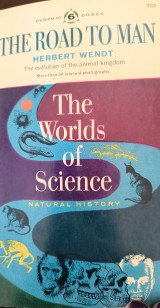 The road to man