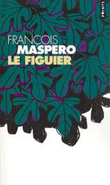 Le figuier